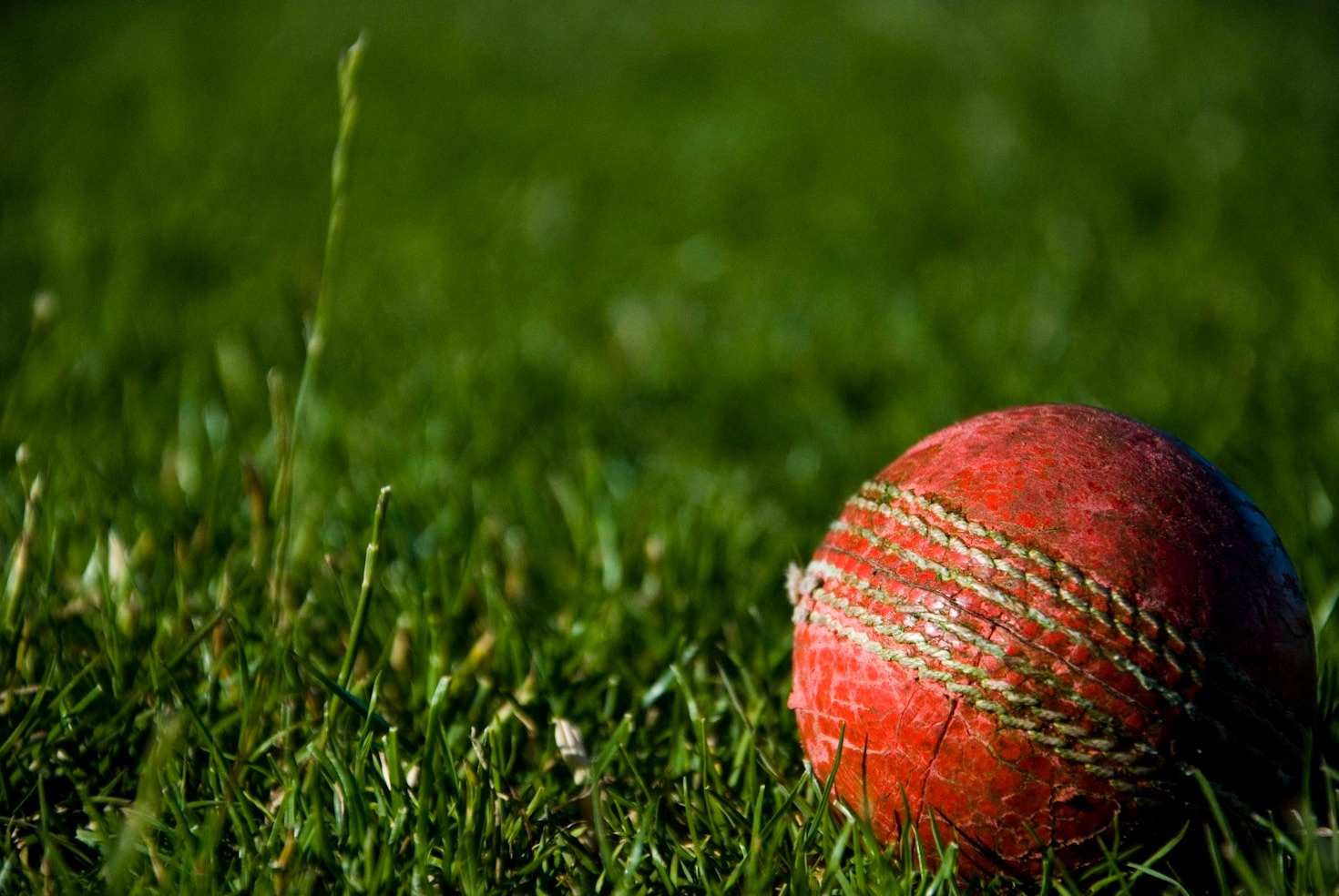 The Best Ways to Keep Up with IPL Action